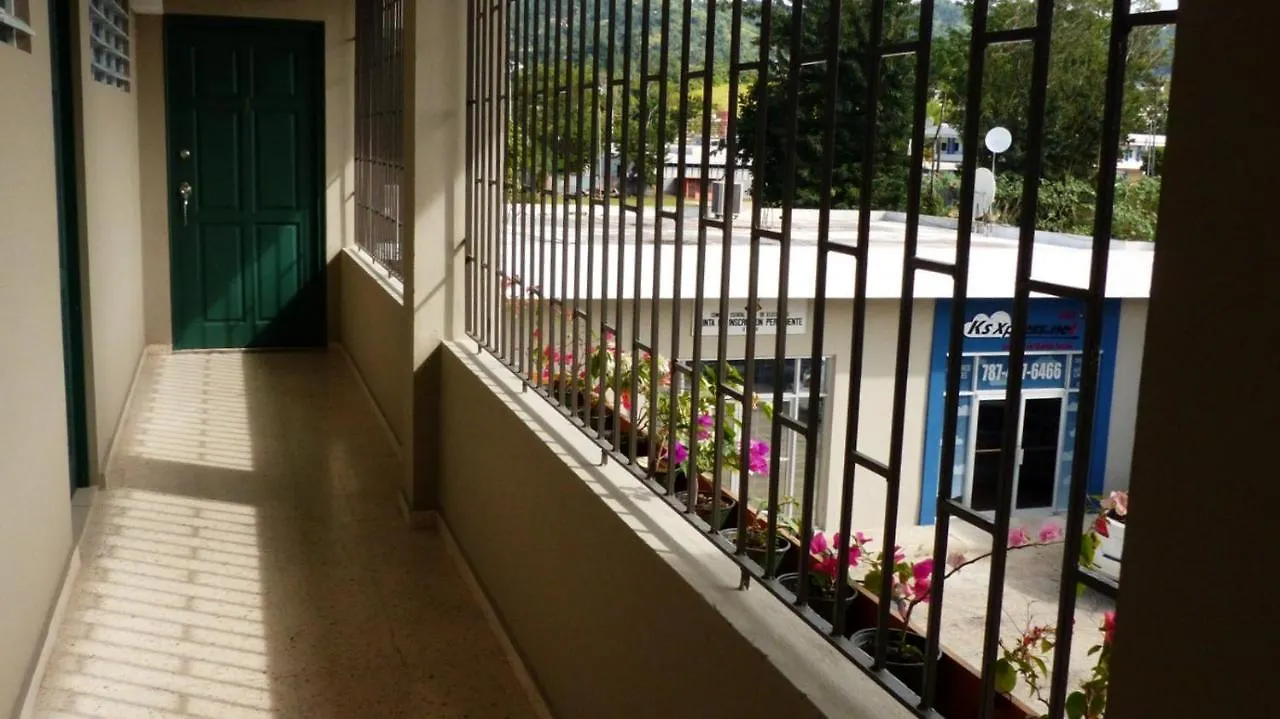 #2 Apt W/Tv Netflix Wifi A/C Hot Water Laundry Apartment Utuado